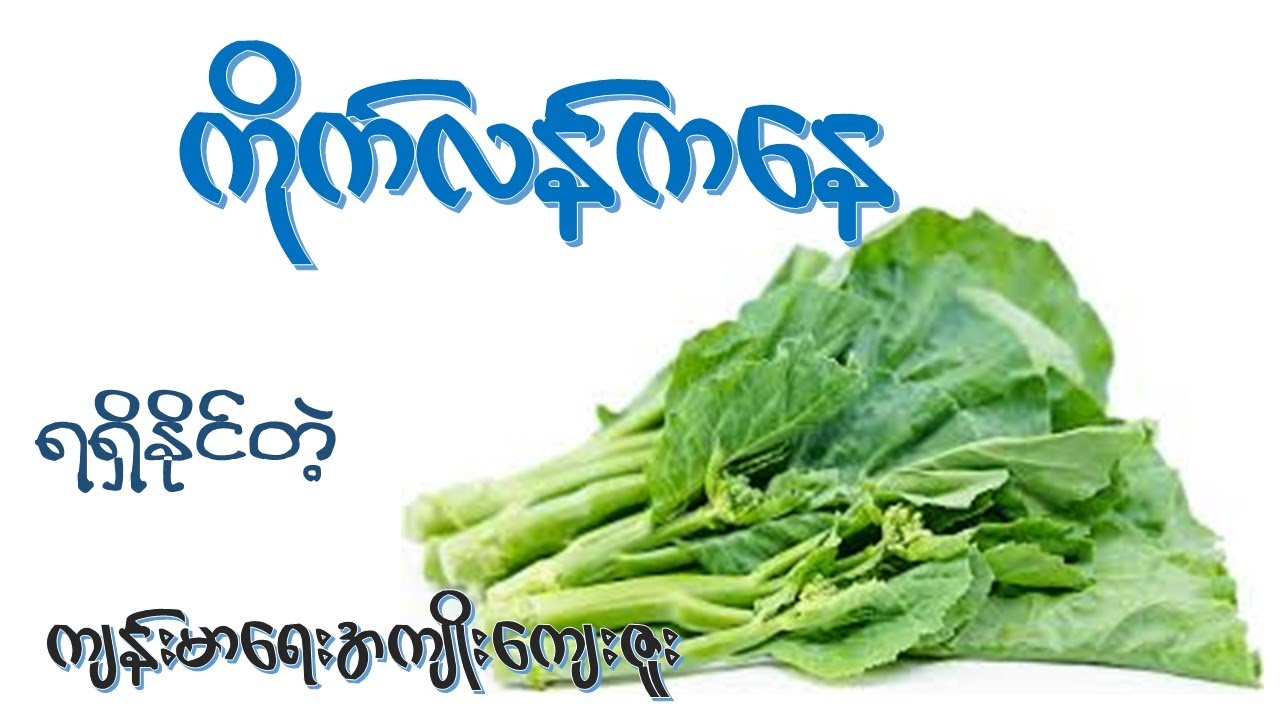 ကိုက်လန် ရဲ့အကျိုးအာနိသင် ( ၁၉ ) မျိုး  I  Health Benefits of Chinese broccoli
