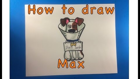 How to draw Max from the Secret Life of Pets 2