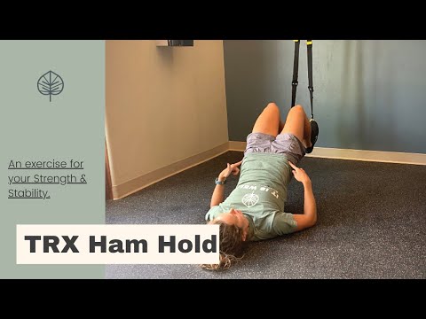 TRX Hamstring Hold - Bridges - Variations