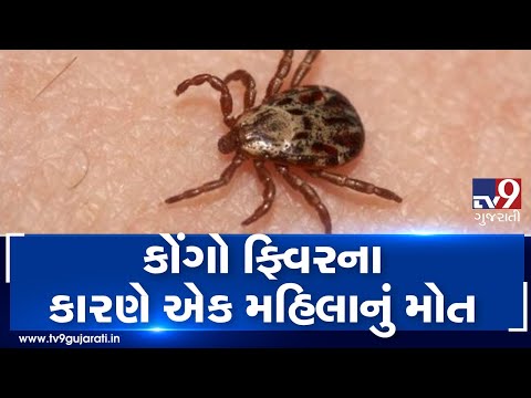 One died of Congo fever in Ahmedabad, here is all you need to know about this fever| Tv9GujaratiNews