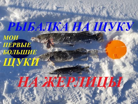 Video: How To Catch Pike In The Winter On Zherlitsy