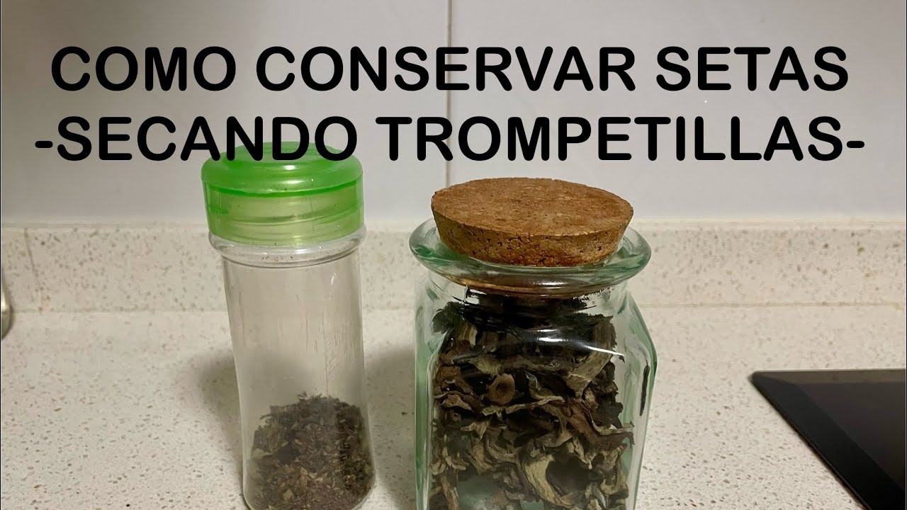 COMO CONSERVAR LAS SETAS SECÁNDOLAS￼