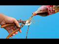 A clever way to sharpen pruning shears to razor-sharp in just one minute!
