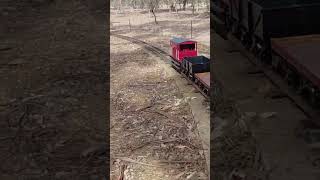 3d printed 5 inch gauge rolling stock testing at mudgee miniature railway #modelengineering