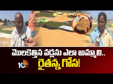 Huge Crop Loss to Farmer Due to Heavy rains | మొలకెత్తిన వడ్లను ఎలా అమ్మాలి.. రైతన్న గోస! | 10TV