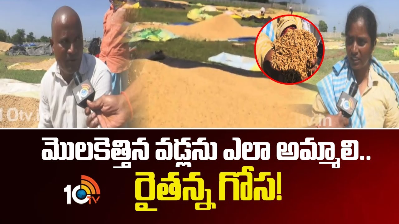 Huge Crop Loss to Farmer Due to Heavy rains | మొలకెత్తిన వడ్లను ఎలా ...