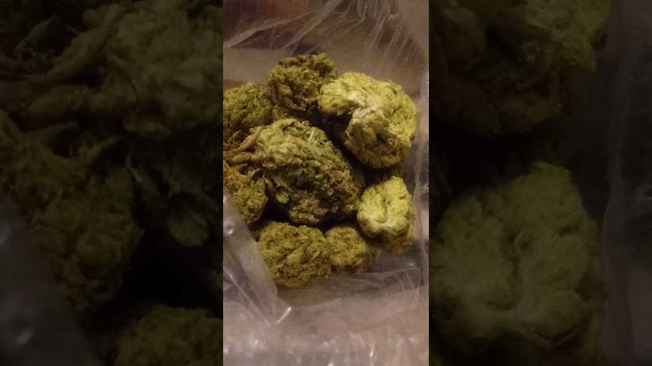 Birthday 🎂 Cake Og/MOONROCK "MOONROCKETS" 🚀PRE-ROLLED 🚬 Cannabis🌿 review