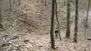 Tyler Root Drop