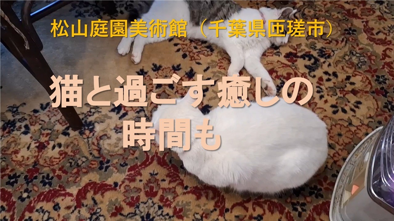 芸術と猫と触れ合える素敵な時間！松山庭園美術館（２）訪れて良かったです。2026.2.13撮影