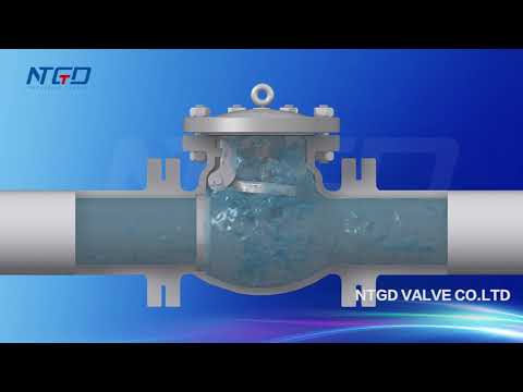 lift check valve animation