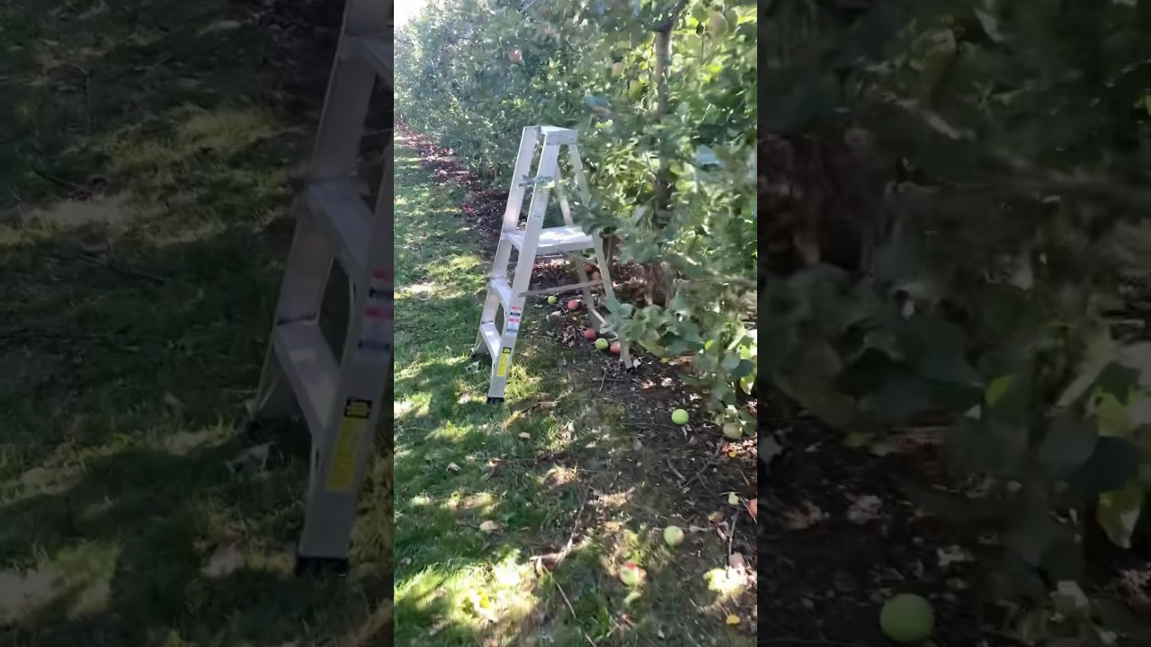 Never should have got that Ladder pt 3