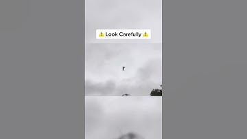 Extinct animals caught on camera📸✨ #shorts