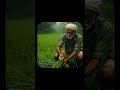 ഒരു പാലക്കാടൻ ക്യാമ്പസ്