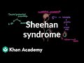 Sheehan syndrome  reproductive system physiology  nclexrn  khan academy