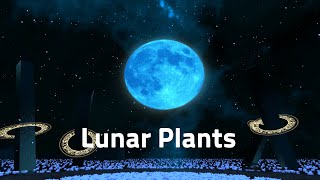 [VRchat Worlds BGM] Lunar Plants