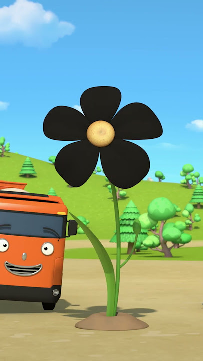 Mobil Kuat dan Bunga Raksasa l Tayo Bahasa Indonesia Lagu Anak l Lagu Warna #LaguAnak #TayoBusKecil