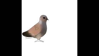 12 days of Christmas art challenge day 2 speedpaint- two turtle doves