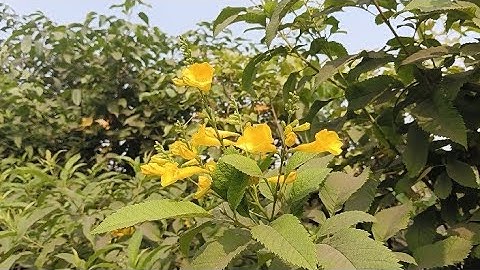 My First Video On Youtube 😅 My First Vlog ❤️ #youtube #vlog