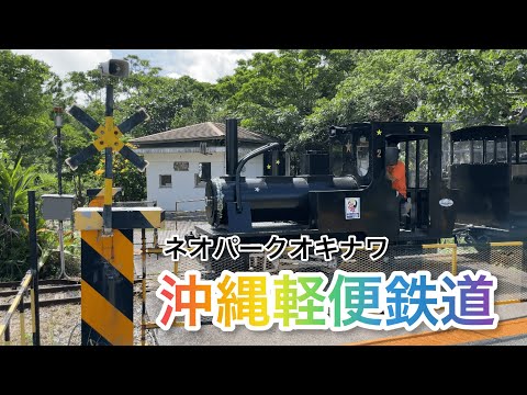 【ゆう】ことりのおおきなあそびば ことりのおおきなあそびば 文鳥 インコ バードジム バード