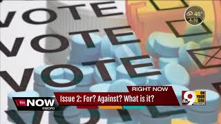 Ohio Issue 2: What swayed voters?