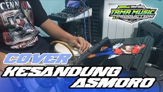 Cover  Kesandung Asmoro  Tama  Pro  Ashley Dme 705