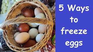 5 Ways to Freeze Eggs