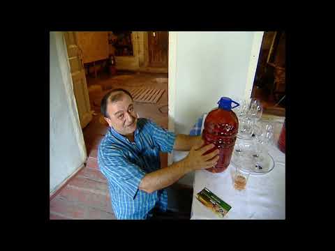 ბაიდენი და ბეროზას პირველი შეხვედრა