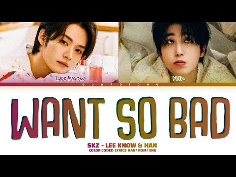 CORRECT SKZ LEE KNOW HAN Want So Bad Lyrics Color Coded Lyrics SKZ RECORD