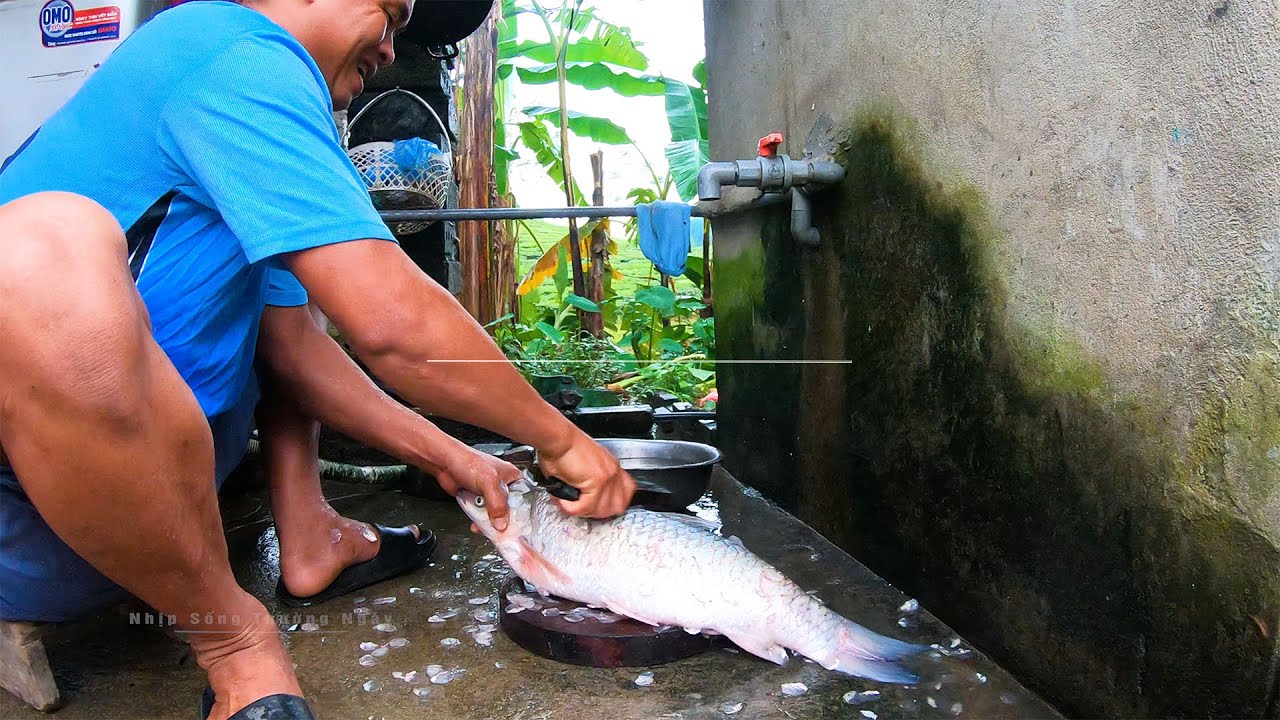 LẨU CÁ MIỀN NÚI | Nhịp Sống Thường Ngày