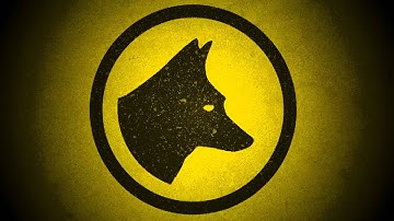 Black Coyote - Deep Space Turtle Chase