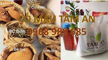 Cỏ Máu Tâm An Quảng Bình   Thuốc Và Sức Khỏe