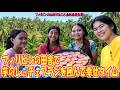 フィリピン風、芋で作ったレッチェフランが衝撃の美味しさ!みんな止まらない【フィリピンの山奥でねこと自給自足生活】