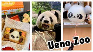 Ueno Zoo Tour 3hrs in 3 MIN (Kawaii Panda Food 🐼)