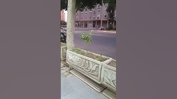 دقيقة في رحاب القران الكريم