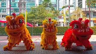 3 Traditional Lion Dance & 2 Acrobatic Lion Dance with Choy San Yeh
