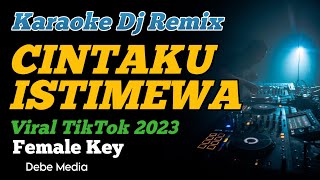 DJ CINTAKU INI ISTIMEWA KARAOKE REMIX FEMALE KEY