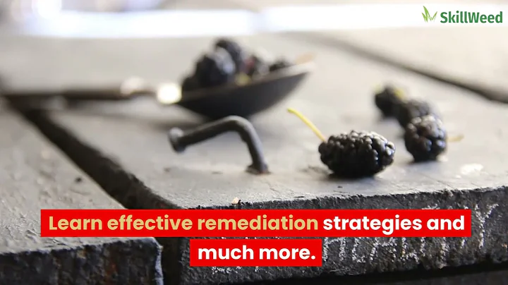 Mastering Cyber GRC with Risk Rhino: Comprehensive Solution Training || Skillweed