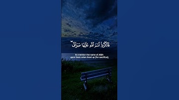 { والبدن جعلناها لكم من شعائر الله } | سورة الحج | الآية 36 |  القارئ ياسر الدوسري