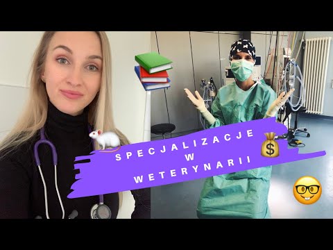 JAKIE SĄ SPECJALIZACJE? CZY TWÓJ LEKARZ TO SPECJALISTA? KIEDY WYBIERAMY SPECJALIZACJĘ?