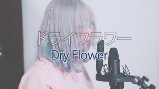 【Cover】Dry Flower -Yuuri