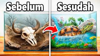 I Transformed an Abandoned Turtle's Home