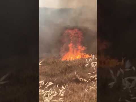 Incendio a Bellocchi di Fano: vigili del fuoco in azione