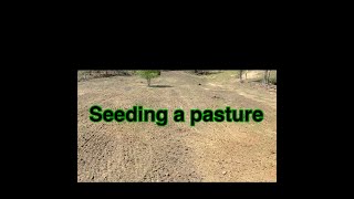 how to seed a cow pasture