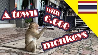 6.000 Monkeys infiltrating Thai City: Lopburi| Travel During COVID| 4K Video คำบรรยายภาษาไทย