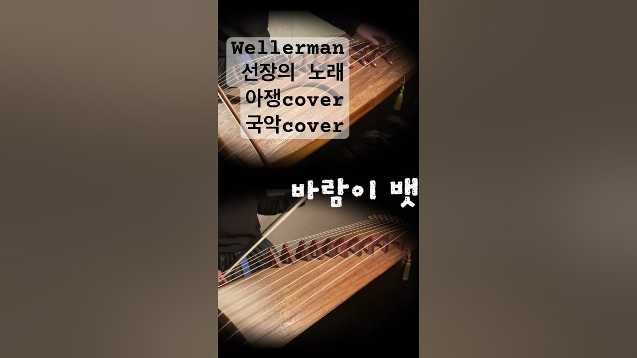 Wellerman 선장의 노래 🌙 풀영상은 달빛아쟁 동영상 고고 해주세요🙏😭 #아쟁 #국악 #국악커버 #wellerman #캐리비안의해적 #아쟁커버