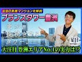 【築浅マンション】藤田さんブランズタワー豊洲を振り返る~愛は長続きしているのか!?~