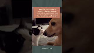 Pov He Said You Know Nothing About Finance Big Mistake Funny Meme Dhanvesttor