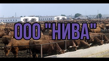 FS22 Giants Editor 9.0.4 Making a new map!