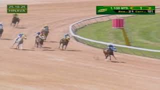 V181| Stella Cadente | Hipódromo Nacional de Valencia | Reunión 21| 2025