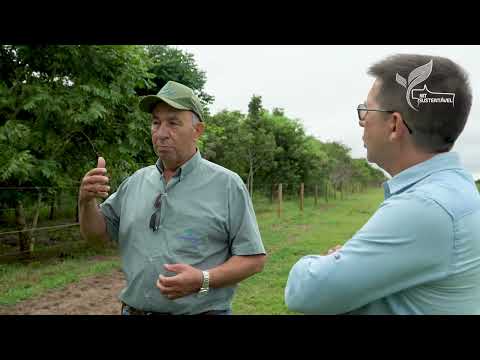 Projeto recupera áreas para proteger nascentes | MT Sustentável ep 58 | Canal Rural